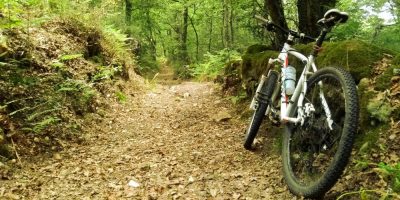 Bici de montaña en el sendero que atraviesa uno de los bosques del concello de A Bola (Ourense)