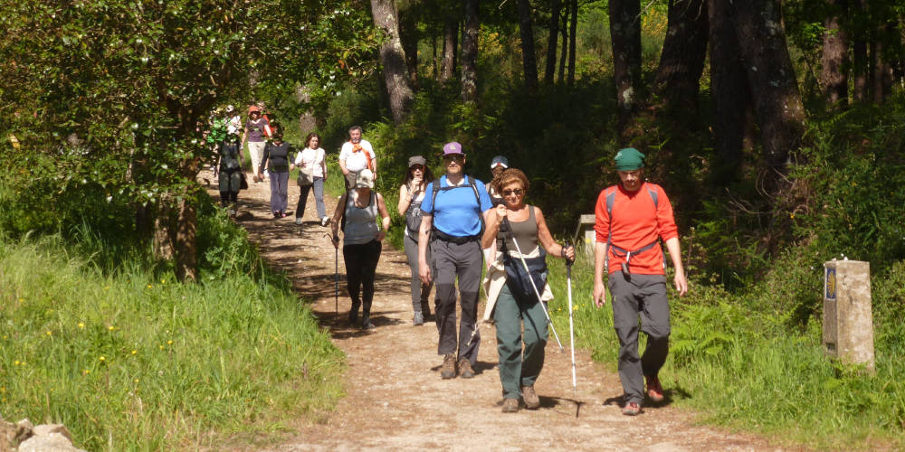 Un grupo de personas camina por un sendero boscoso, junto a un hito del Camino de Santiago